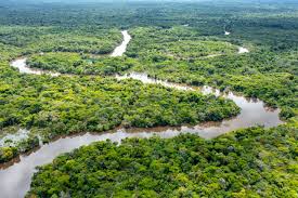 Selva del Amazonas